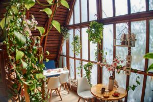 Inviting indoor space with lush plants, wooden decor, and ample natural light.
